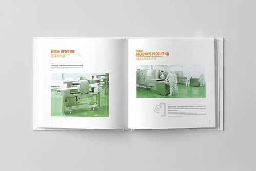 品牌視覺(jué)的深度構(gòu)建 從形象畫冊(cè)到企業(yè)戰(zhàn)略的全方位策劃